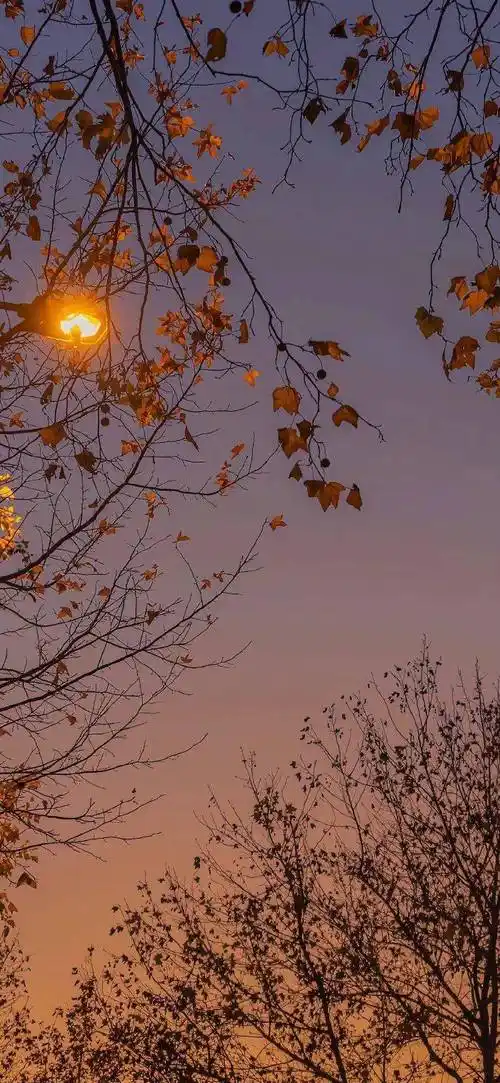 壁纸 | 可以用很久的夏日锁屏壁纸 676767