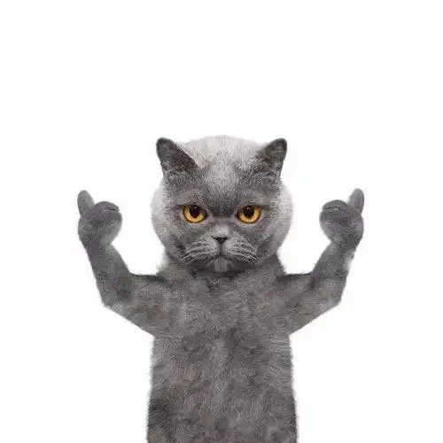 抖音霸气喵星人