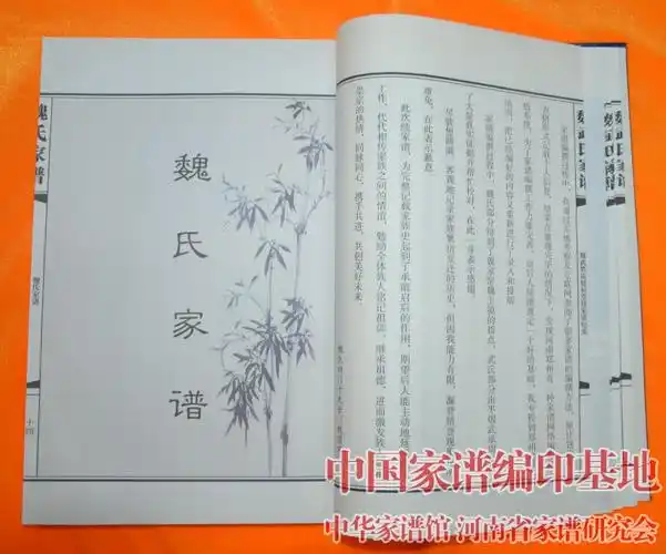 山西省长治市武乡县魏武氏家谱