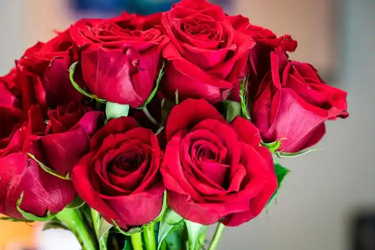 少女心 - 堆糖,美图壁纸兴趣社区