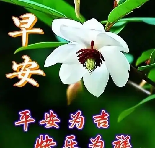 1月18日星期三早上好,早安温馨的祝福图片带字带问候语录