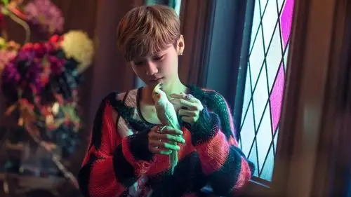 小鲜肉鹿晗帅气写真,高清图片,电脑桌面-壁纸族