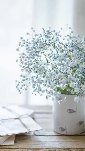 十张小清新植物系壁纸,赶紧收藏