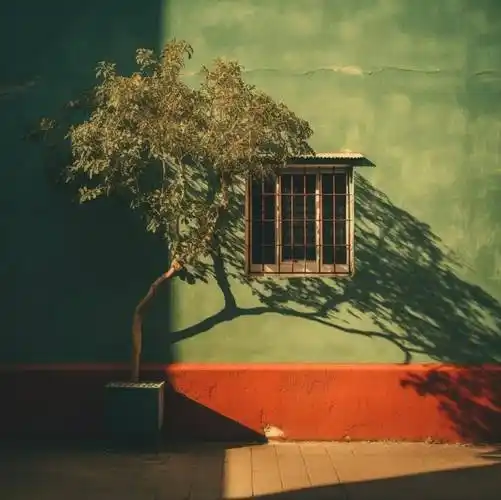 20张唯美的极简主义摄影作品,极简之美!_色彩_观者_主题