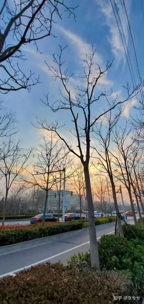 你的手机里有哪些自己拍的真实的风景照? - 知乎