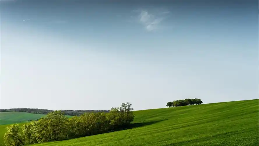 二,求电脑桌面壁纸,保护眼睛的,最好是大自然之类的,有其他的