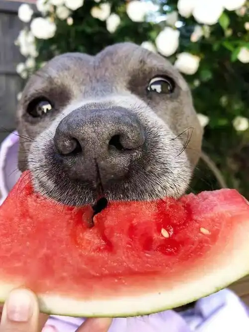 搞笑图片:上课打游戏被老师惩罚,从此原谅那些一娜