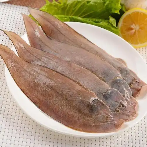 黑头鱼黑头鱼又叫黑鲪,因其色灰黑,体胖而得名.