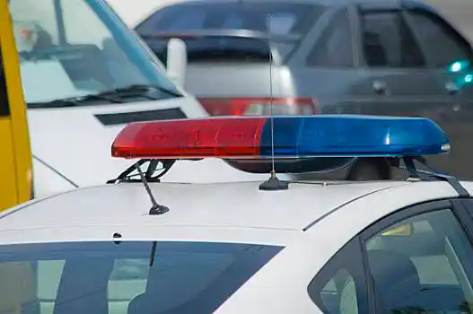 警车,汽车,红色,蓝色,警报器