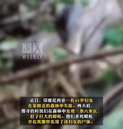 越闹越大!印尼一妇女被身长5米的蟒蛇吞吃,网友评论区炸锅