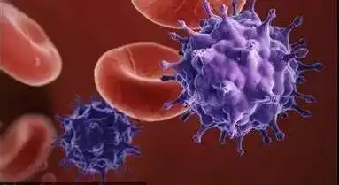 血毒的危害,带您认识血毒!血毒正在侵害你的身体,再不排毒就晚了!