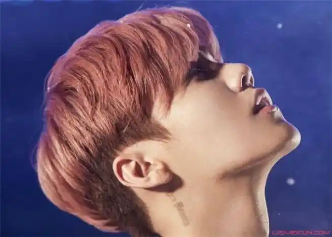 鹿晗爸爸鹿兆许资料 鹿晗家世惊人真的假的 - 明星 - 唯美村