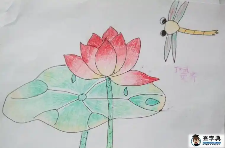 小学生蜡笔画作品图_蜻蜓和荷花