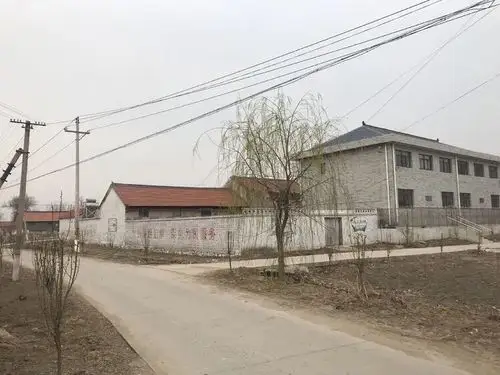 【乡镇篇】玉田县散水头镇开展爱国卫生运动第一次拉练活动