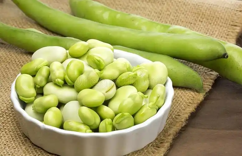 爱吃蚕豆的朋友注意:夏日蚕豆虽香,但四类人群要少吃或不吃