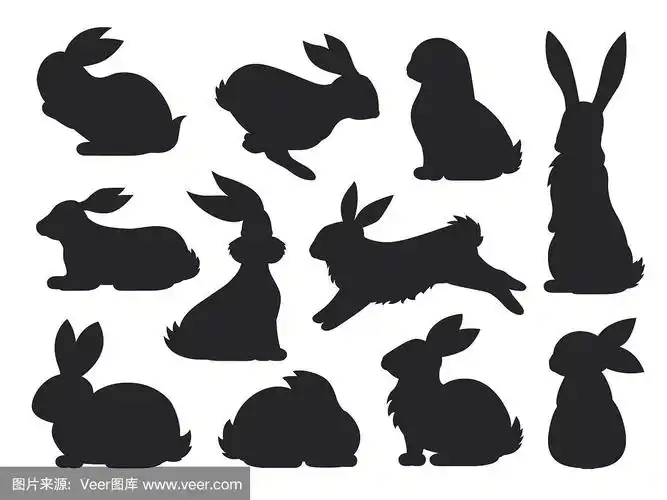 兔子宠物剪影在不同的姿势野兔和