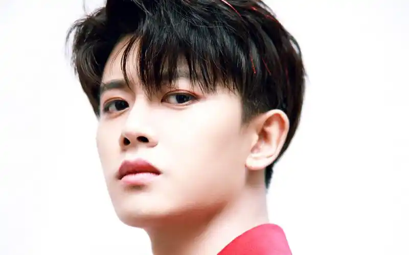 任嘉伦红色西装帅气写真桌面壁纸-大陆明星-壁纸下载-美桌网