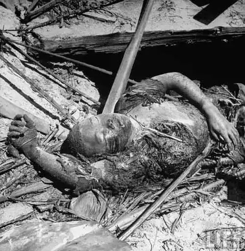 东南亚战场暴尸荒野的日军尸体