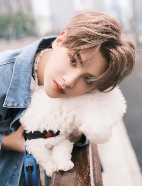 黄明昊宠物治愈大片##黄明昊宠物狗治愈大片