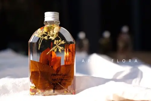 aprilflora植物标本漂浮瓶ins风 性冷淡家居装饰 永生花礼物 热销