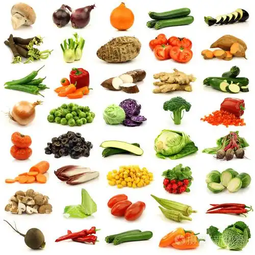 新鲜蔬菜的集合