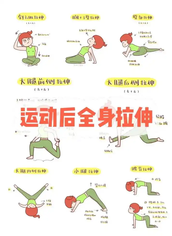 运动后全身拉伸漫画图解(8个动作)有效的拉伸不仅可以缓解肌肉 - 抖音