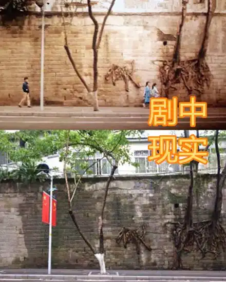 《少年的你》取景地,天桥上学路没啥,看到"两棵树":立马买票