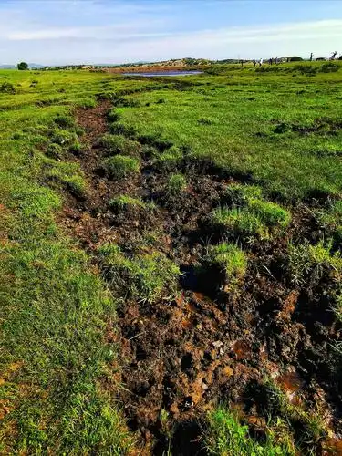 青草泥土之芬芳.