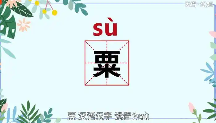 粟字组词:粟栗(lì):指悚惧时肌肤起颗粒.米粟:泛指粮食.
