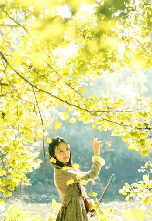 深秋中的小提琴气质美女森系长裙恬静写真集 @微相册 @微博