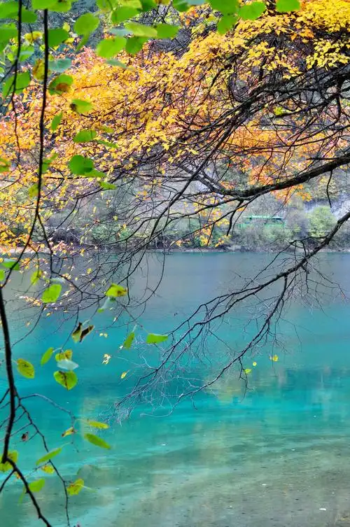 那一片蓝,迷了眼,醉了心图片727,四川省旅游景点,风景名胜 - 蚂蜂窝