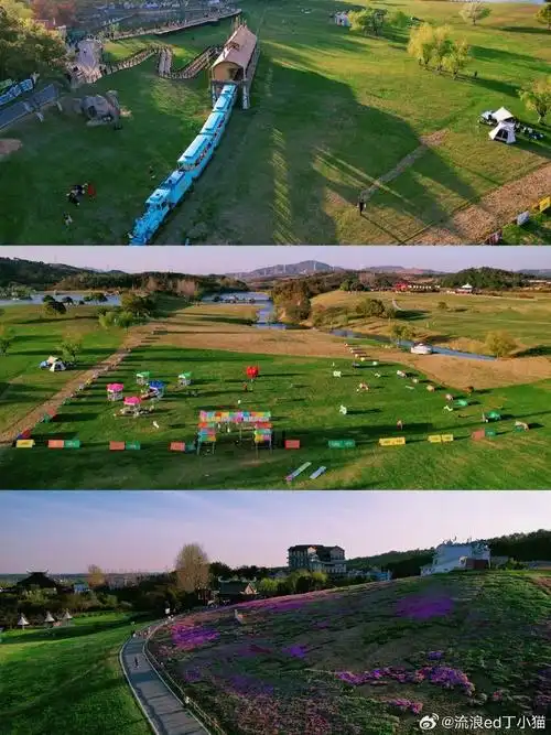 壁纸 草原 桌面 690_920 竖版 竖屏 手机