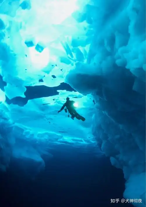 有哪些深海恐惧症看了会害怕的图片? - 知乎
