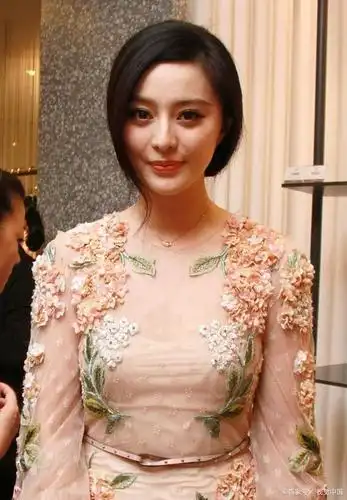 "范爷"范冰冰,会王者归来吗