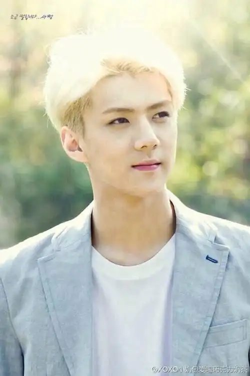 exo-奶包 吴世勋