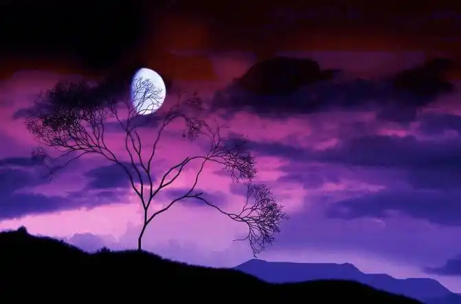 明月寄相思的唯美句子月亮下的思念伤感句子