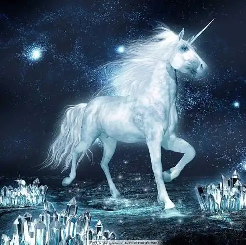 微信头像梦幻独角兽_第1页