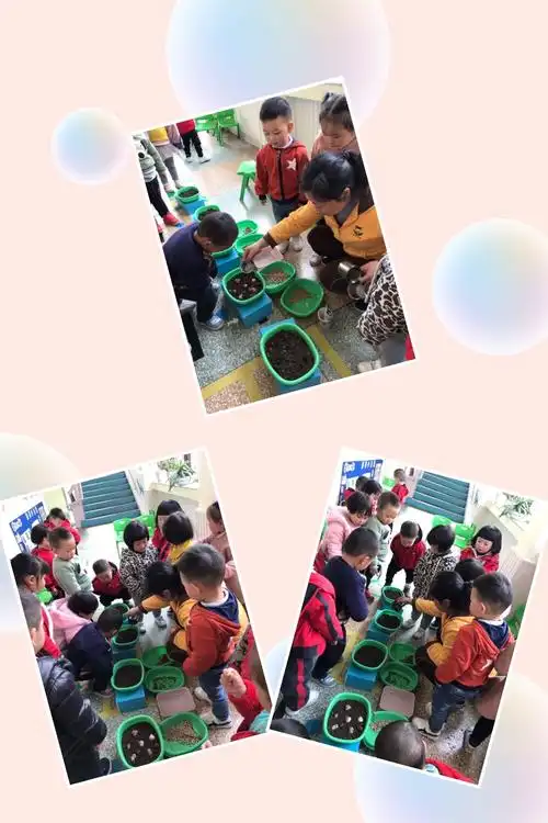 在阿姨的带领下,小朋友们在给种植好的种子浇水,种子种子快快长大