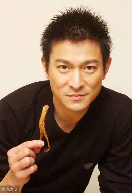 巨星刘德华经典人生感悟名言20条,务实生活的进取方法论