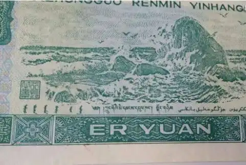 币是由中国银行1996年发行的,正面图案为彝族维吾尔族人物头像,背面为