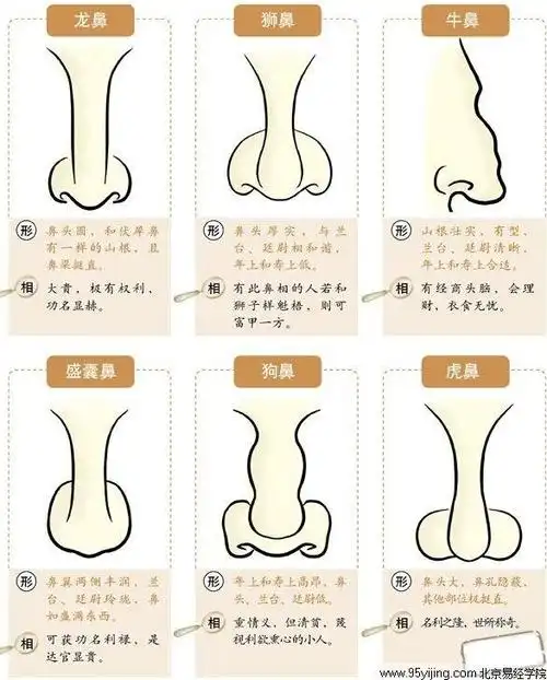 鼻梁山根有横纹的面相