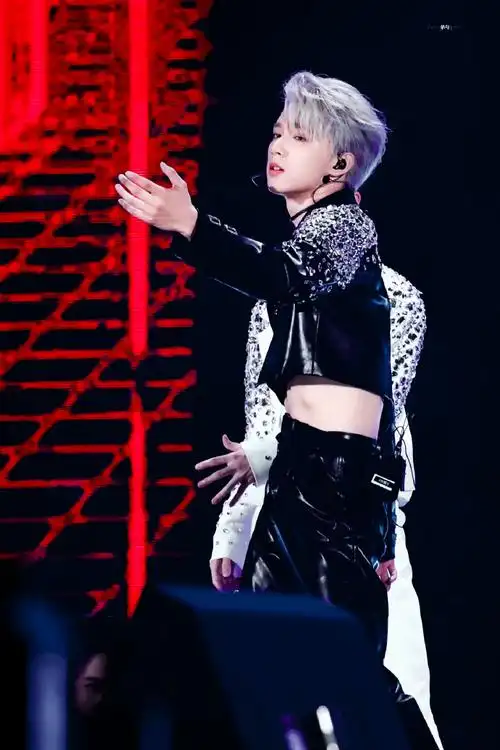 刘耀文斗舞的确是够帅的##刘耀文理想之途演唱会