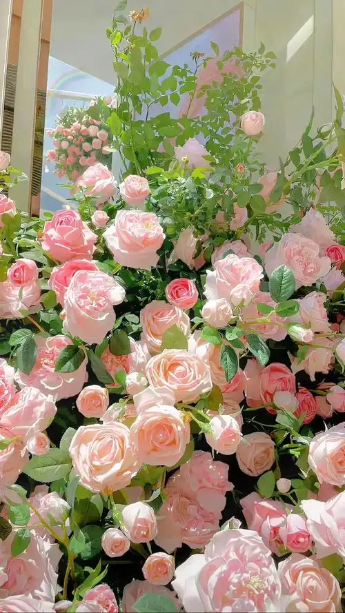 1%电量也要换的壁纸#屏保该换了系列 #欢迎取图 #每一帧都 - 抖音