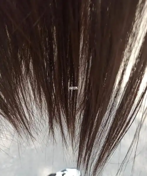 我的头发为什么一缕一缕的