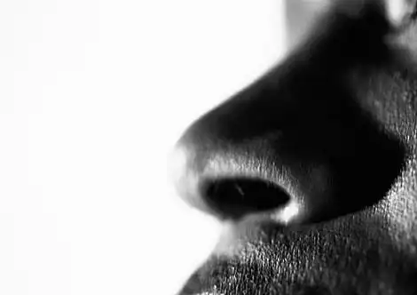 男人,鼻子,特写,黑人