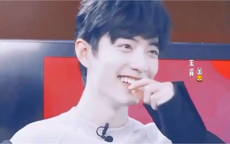 肖战的笑容真的太有治愈力了