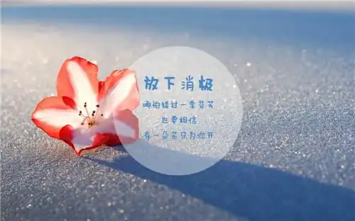 唯美文字学会放下高清图片