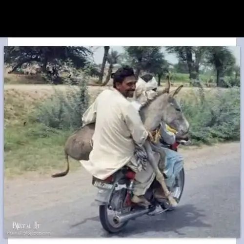 高手在民间笑死人不偿命专治不开心