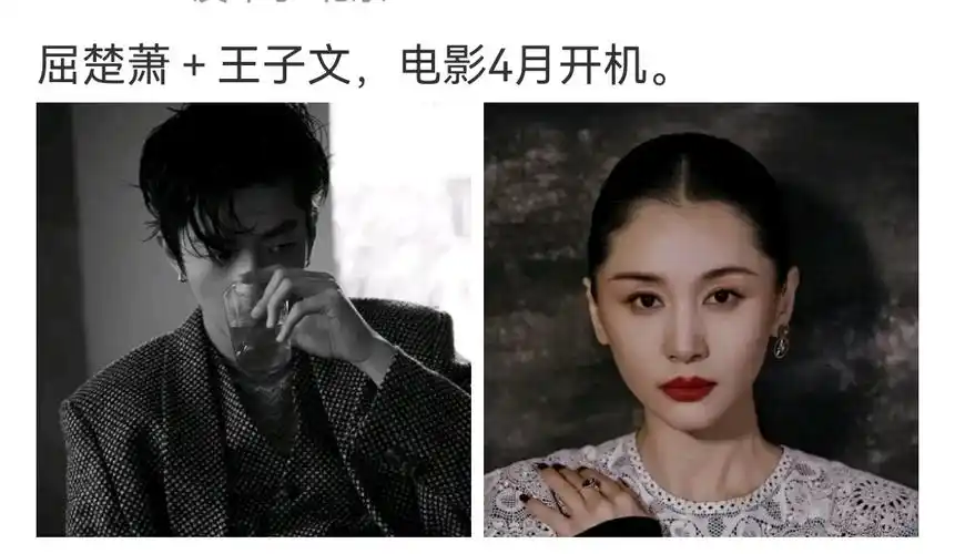 屈狗和王子文新电影