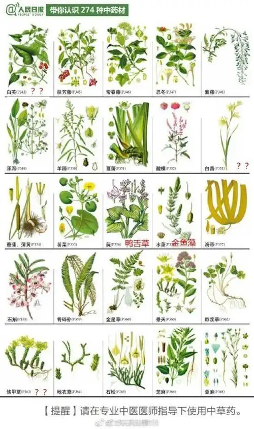 植物园"叫板"人民日报官微:274种中草药弄错30余种